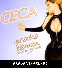 Ceca - Igračka samoće